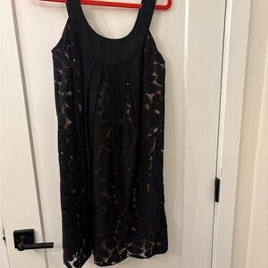 Cynthia Steffe Black Lace Overlay Mini Dress